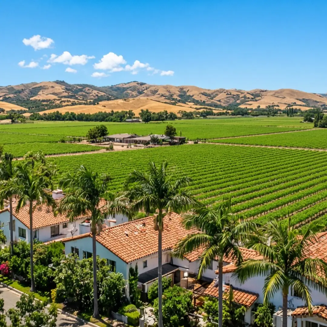 Palm-lined Santa Barbara County neighborhood with tile roofs beside open farmland and hills